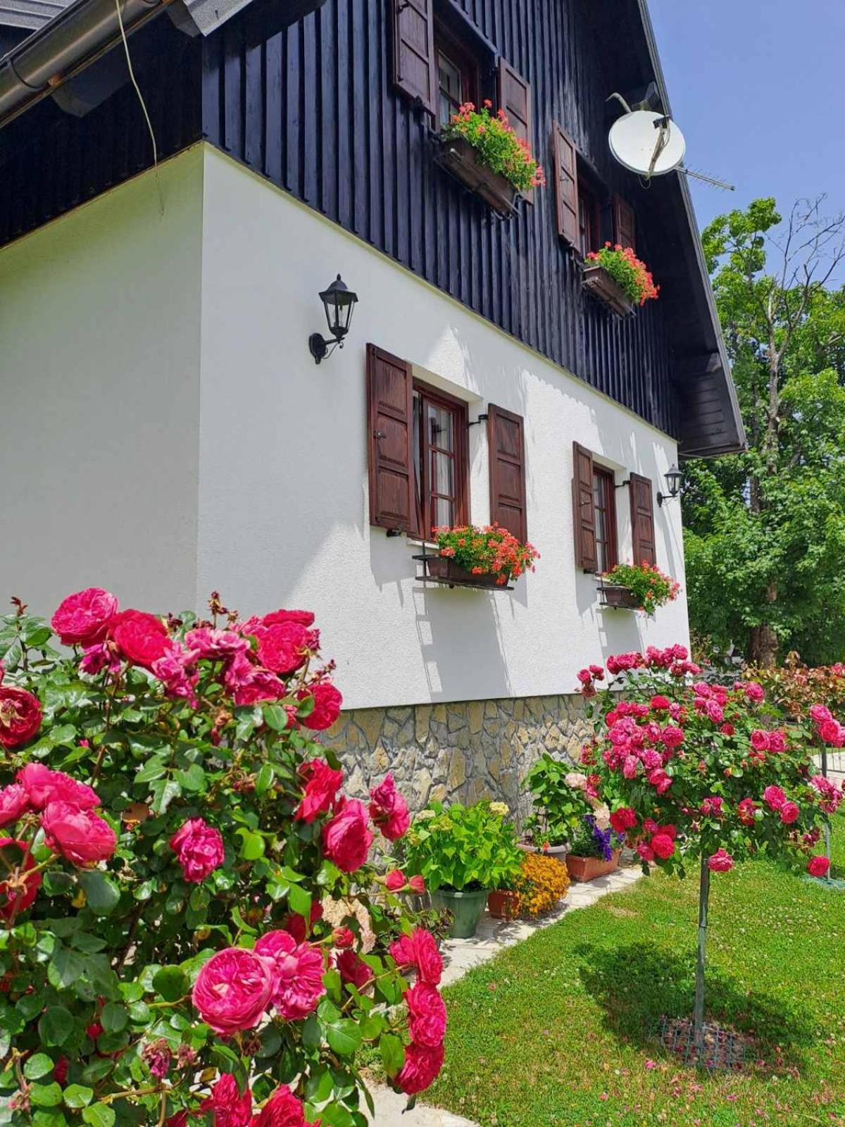 Pansion Breza Hotell Plitvička Jezera Exteriör bild